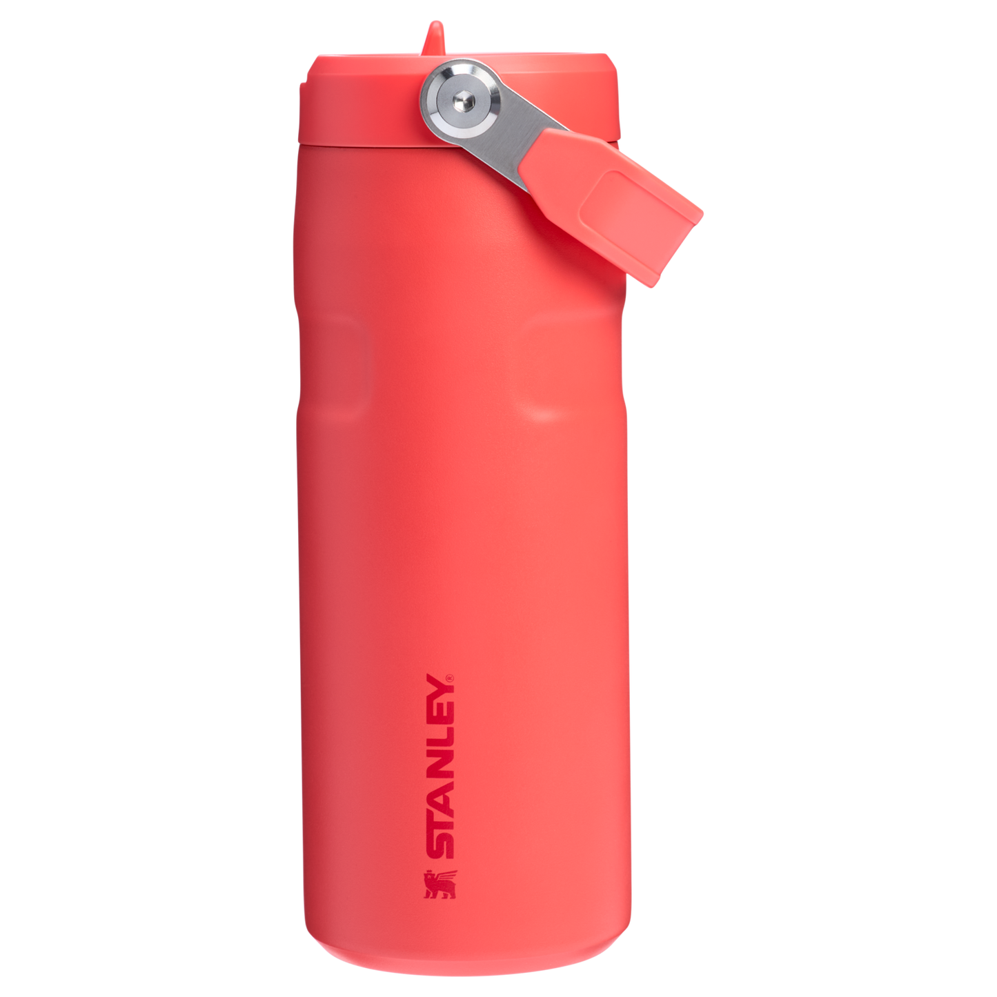 Stanley The IceFlow™ Bottle with Flip Straw Lid | 16 oz