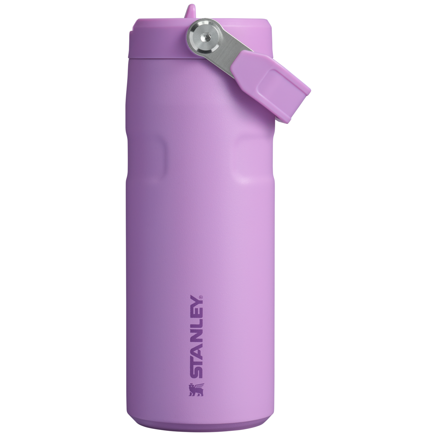 Stanley The IceFlow™ Bottle with Flip Straw Lid | 16 oz
